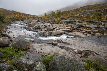 Fototapeta na wymiar Wild River in Norway 