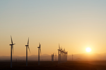 Obraz premium windmills