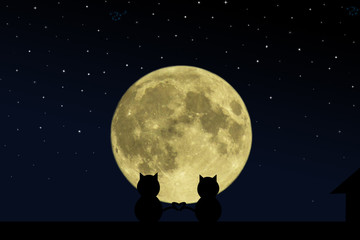 Two black cat crossed their tails in the form of heart on the roof of the house at the time of the full moon © volhavasilevich