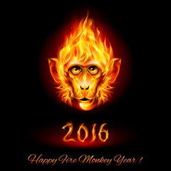 Fire Monkey Head