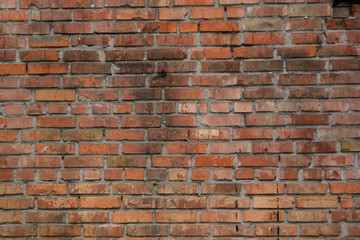 Old brick wall #171115-1