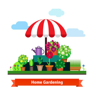 Home greening store with plants, flowers, grass