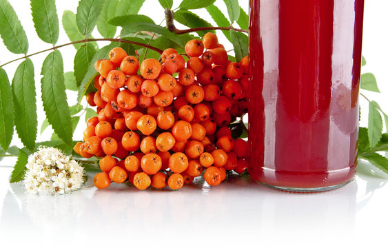 Cropped orange rowanberry with jar of juice on white
