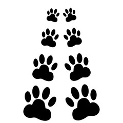 Fototapeta na wymiar Dog paws following illustration on a white background