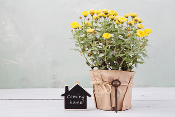 Home sweet home - beautiful  flowers in pot with message card