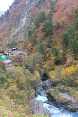 黒部峡谷の紅葉