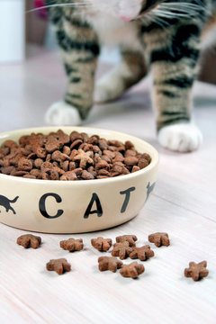 Katzenfutter