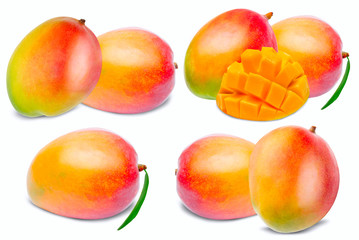 Mango isolated on white