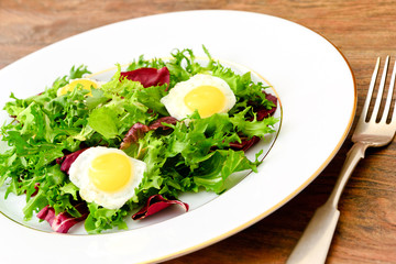 Salad Mix Batavian, Frise, Radicchio, Chicory, Dietary Mel