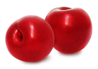 Two fresh red ripe plum isolated on white background. Design element for product label, catalog print, web use.