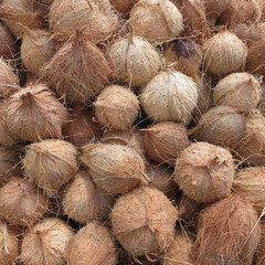 Heap of coconuts. Inhambane, Mozambique, Africa © GW3NDOL!N