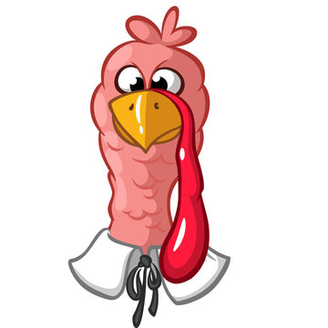 Head of Thanksgiving turkey mascot. Vector cartoon