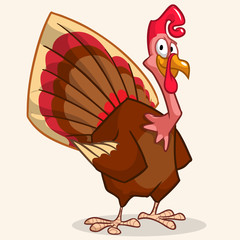 Thanksgiving happy turkey mascot isolated on white background. Vector illustration