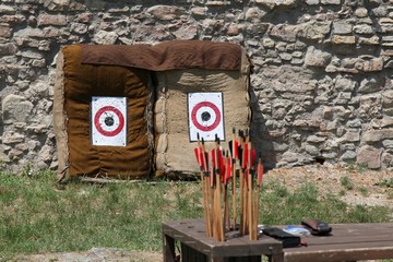 Arrows against the target in the nature