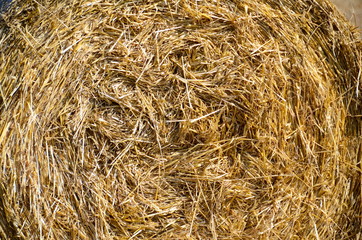 Close up of a bale of hay