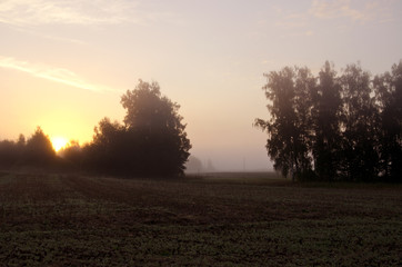 Fototapeta na wymiar Sun rising through the fog on rural landscape