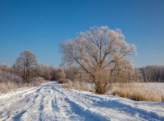 Snowy country road on a sunny winter day