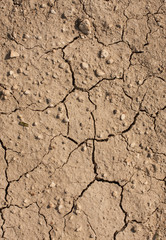 dry cracked earth