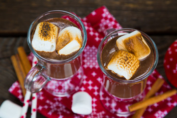 Hot chocolate with roasted marshmallows