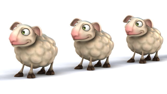 Fun sheep