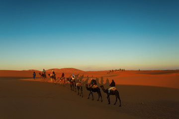 Fototapeta na wymiar Sillhouette of camel caravan going through the desert at sunset