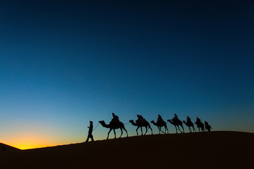 Fototapeta na wymiar Sillhouette of camel caravan going through the desert at sunset