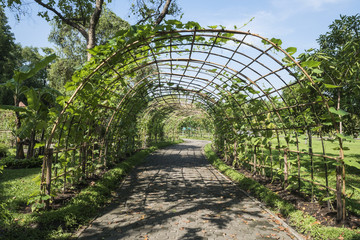 Wooden arch 2