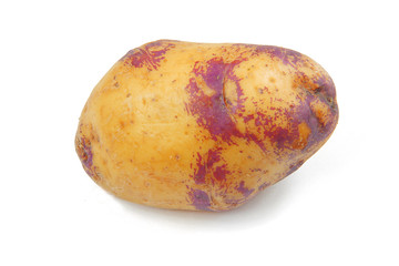 pomme de terre 18112015