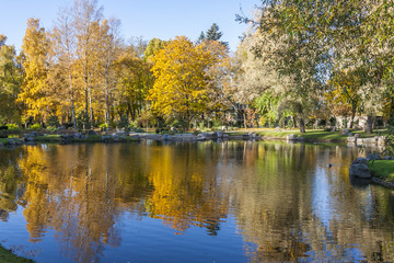 Fototapeta na wymiar Autumn Reflection On the Pond