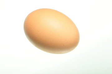 hen eggs isolated on white background