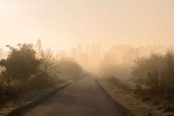 Empty road in a misty autumn morning