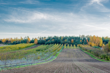 Fototapeta premium Beautiful hilly meadows in autumn colors