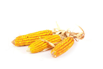 An ear of corn isolated