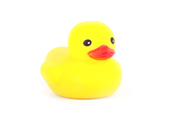 Cute yellow rubber duck