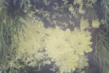 Vintage Chrysanthemum flower bouquet soft background