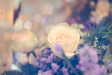 Vintage rose flower bouquet soft background