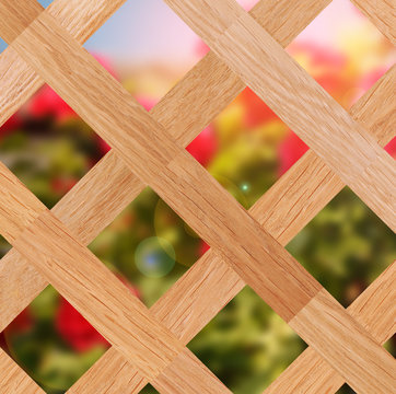 View of a garden through wooden hedge as a background