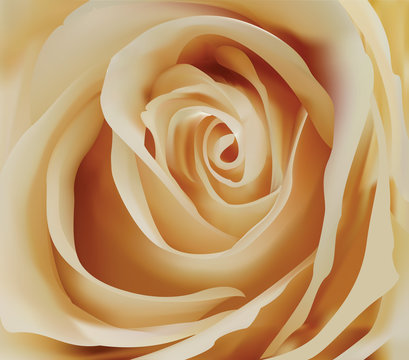 Background with Amazing rose