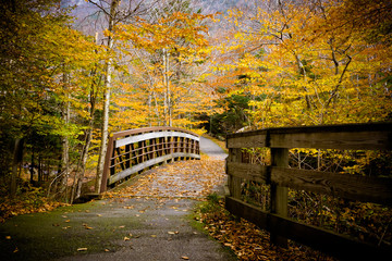 Wood Bridge and Autumn Colors