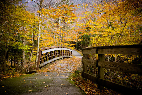 Wood Bridge and Autumn Colors