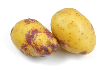 pommes de terre 18112015