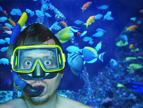 Swimming with the fishes