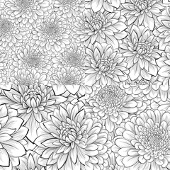 set of beautiful monochrome black and white seamless pattern with flowers.