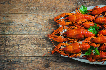 crawfish on wooden background