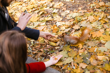Nice concept for young couple in autumn park