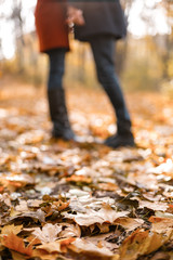 Nice concept for young couple in autumn park
