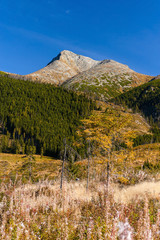 Fototapeta premium mountain Krywań