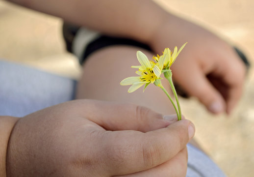 The hand of the child holds a flower.