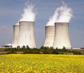 Cooling tower and rapeseed field