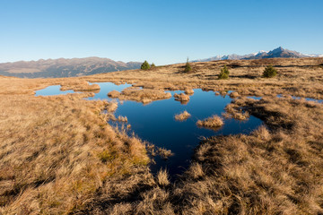 Bergsee im herbstlichen Hochmoor der Alpen